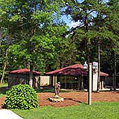 Album #34 - Photo Tours & Image Gallery
