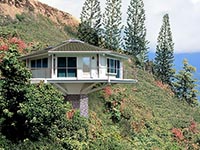 Pedestal Collection House Plan Collection