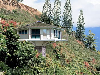 Pedestal Collection IMG