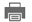 Print Icon
