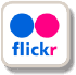 Flickr Photos